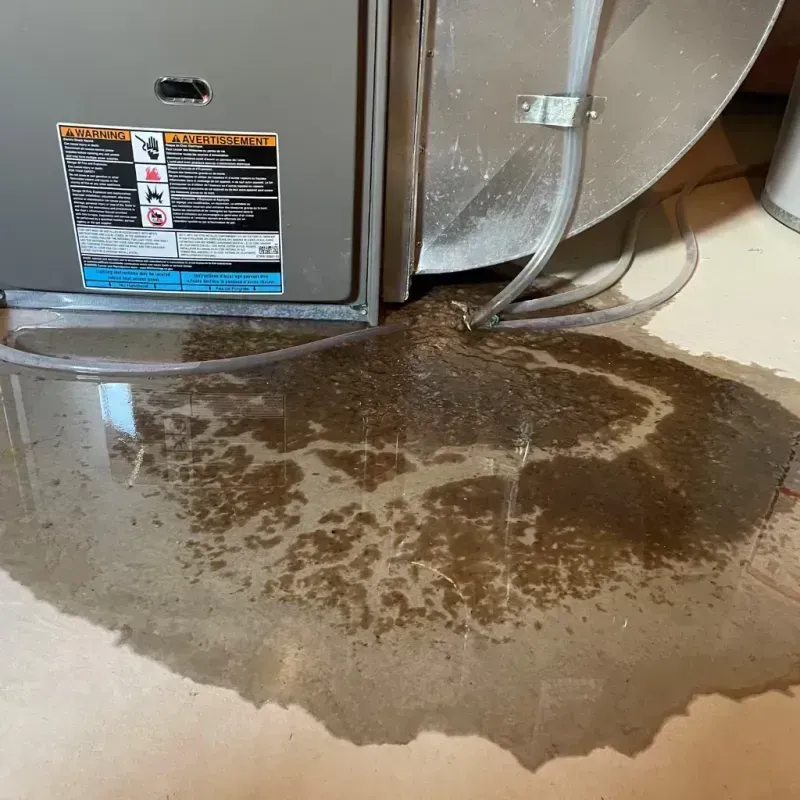 Appliance Leak Cleanup in Stedman, NC